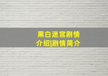 黑白迷宫剧情介绍|剧情简介